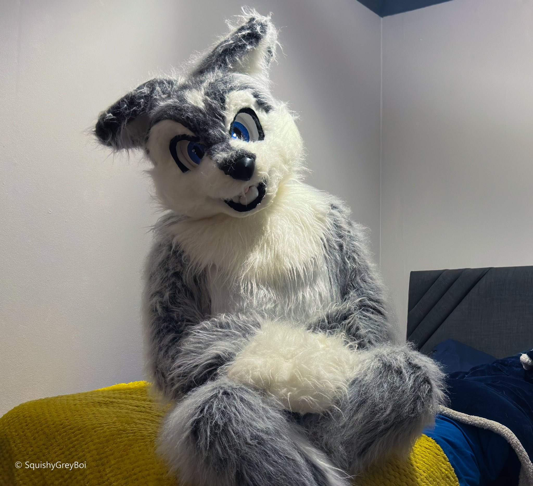 Furry squishy on sale