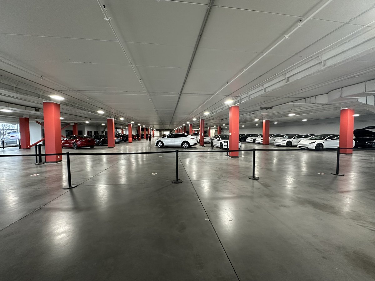 James Cat tweet media