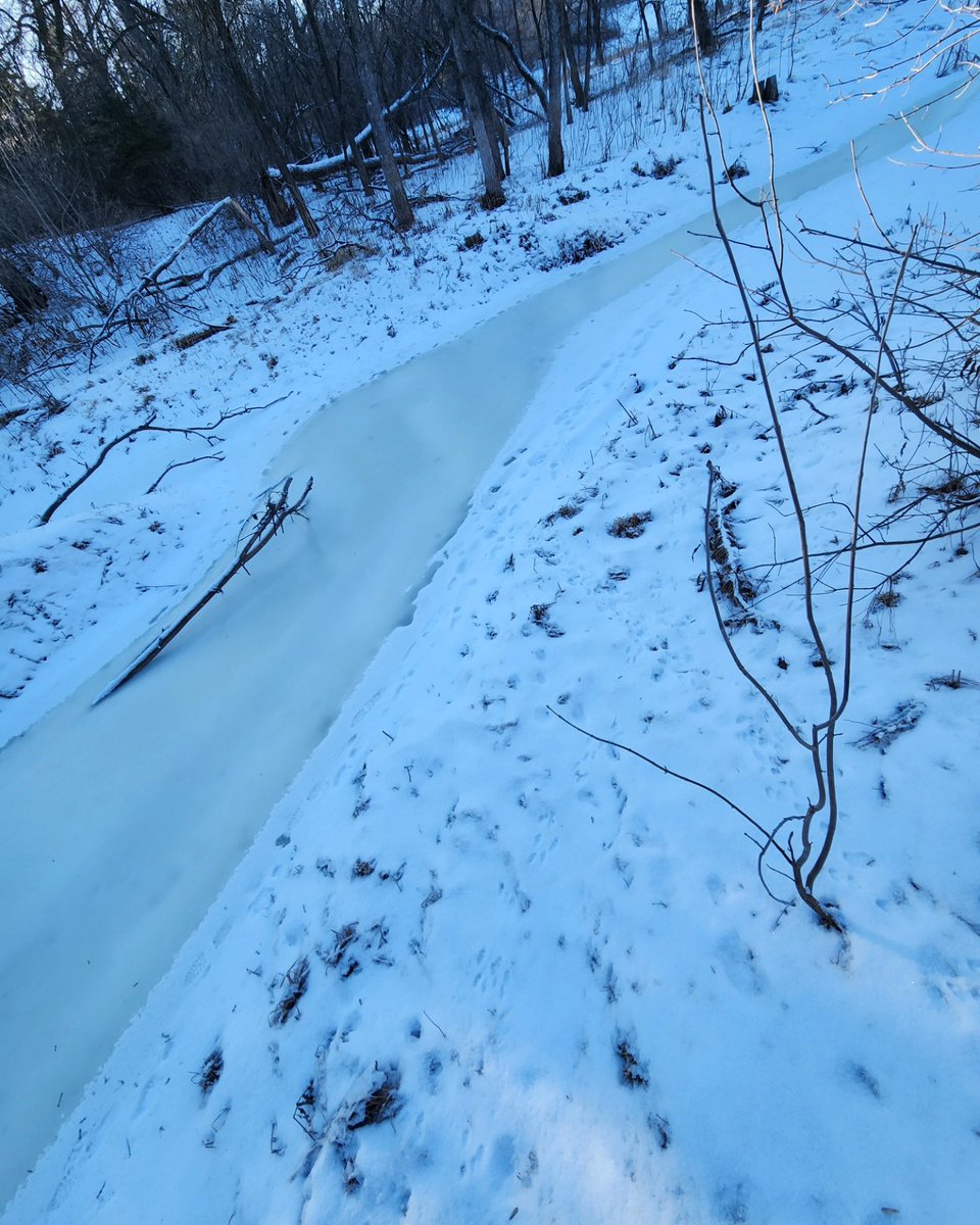 Had a great walk through the park this weekend. 

#naturephotography 
#nature 
#naturelovers 
#frozenriver