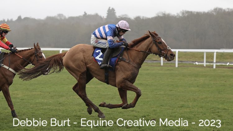 deborahburt1's tweet photo. CAPTAIN TEAGUE 🇮🇪 (Doyen @SunnyhillStud ) @CobdenHarry @PFNicholls #winners #grade1 @Coral #challowhurdle @NewburyRacing @IREthoroughbred @Goffs1866 @irishp2p @colinboweracing 📸 for @InterThorough https://t.co/puOSMplBfo