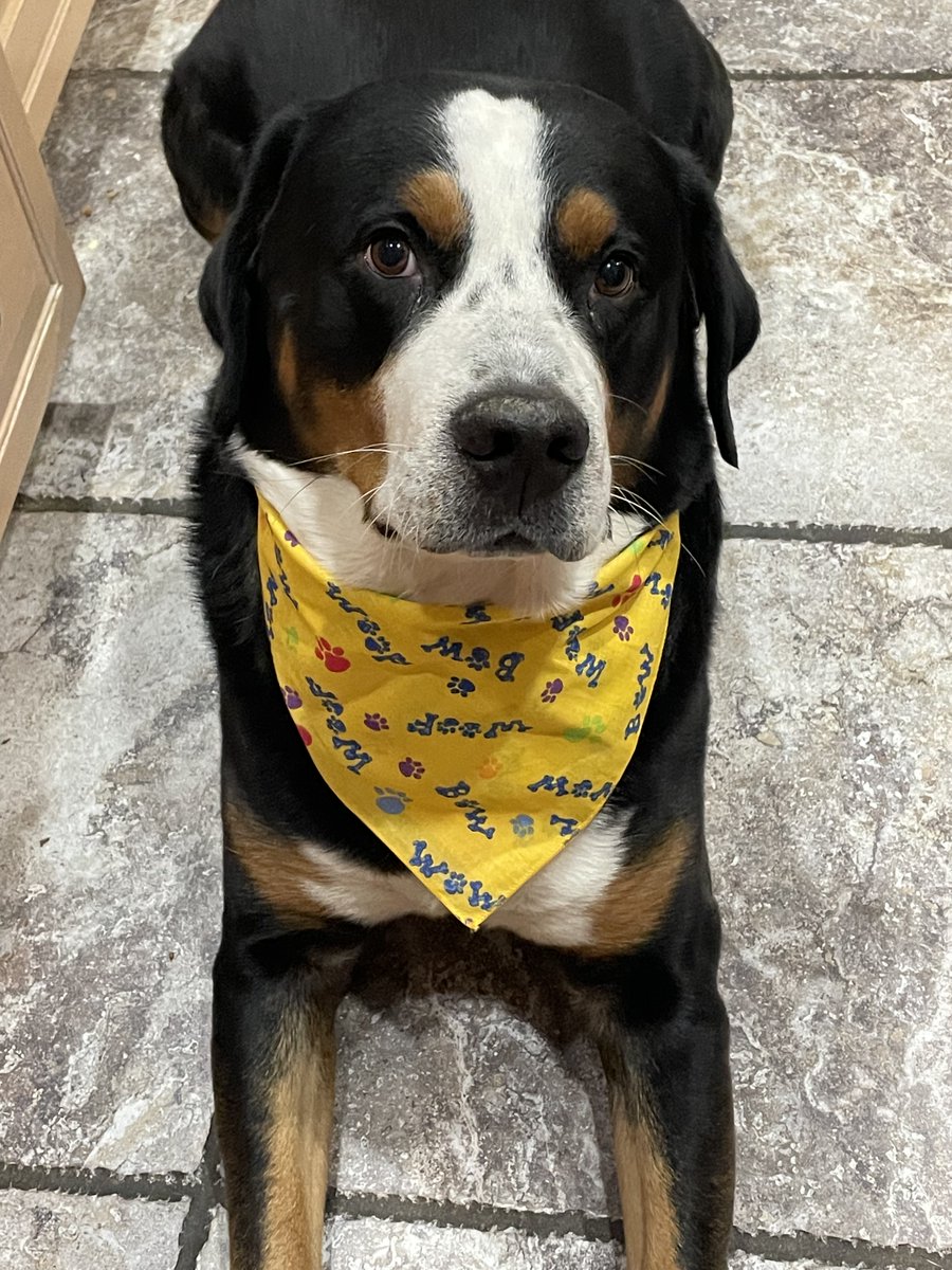 Jim Polansky tweet media