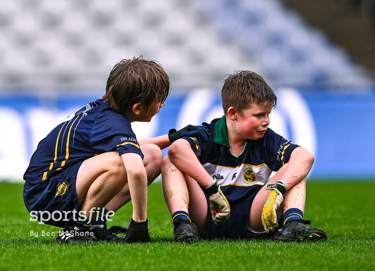sportsfile tweet media