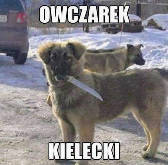 GCnzZ_fWQAEG-rD