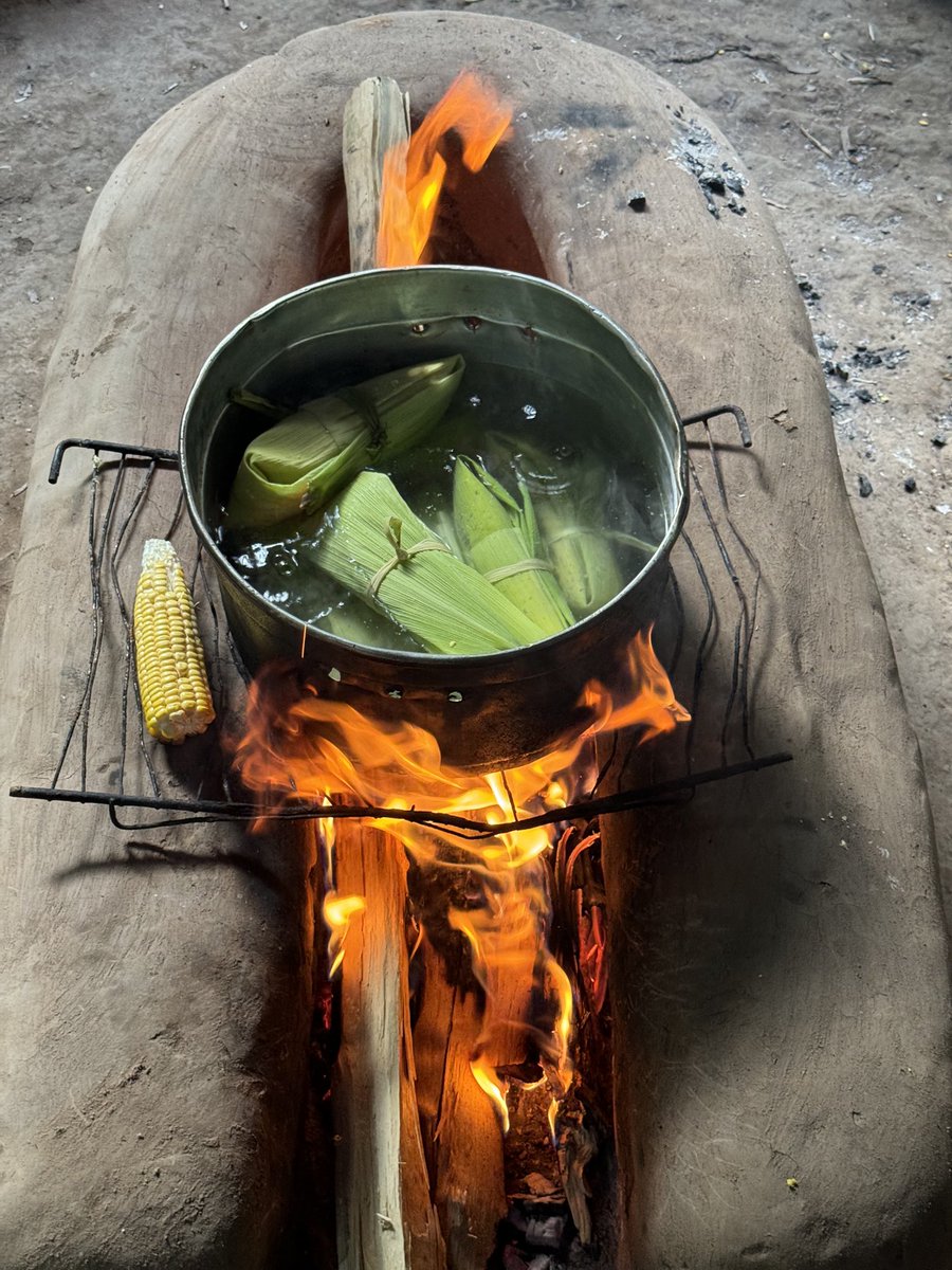 maah_uni_'s tweet photo. Our NGO @organismo is supporting tomorrow's festivities and ceremonies by providing extra food for the the groups of the Huni Kuin Village so as each one no lacking of anything 🙏

🌬️ CIAO (!) 2023 
Bora renovar, 2024 🙏

See you next year! À l'année prochaine! Até ano que vem! https://t.co/rCZP5OPQq3