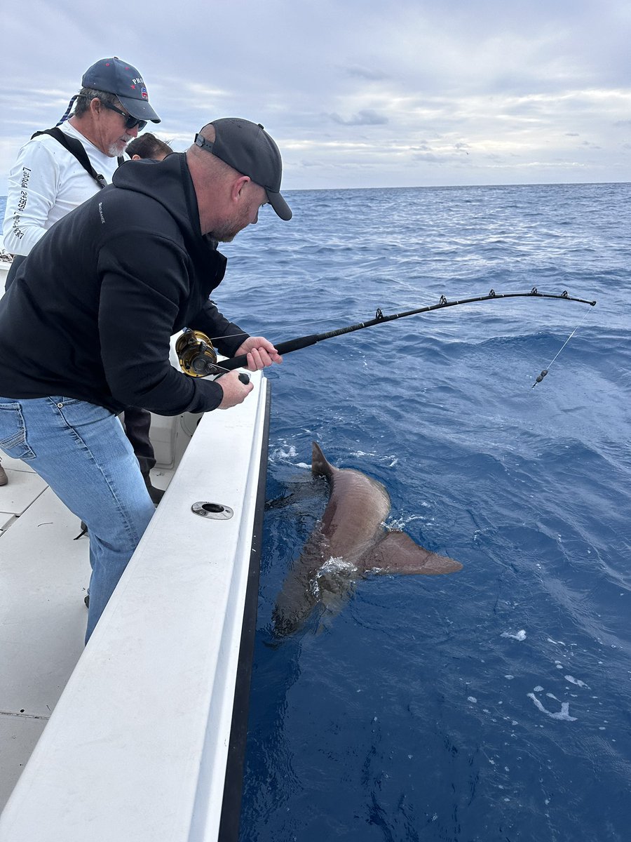 ChiefDogKevin's tweet photo. Great day #fishing with Barbies cousin-haven't seen in 40 plus yrs #keywest #floridakeys  @barbiedoll_eyw on deck #grouper  #yellowtailsnapper #nurseshark x2! https://t.co/0fsqT9y1R0