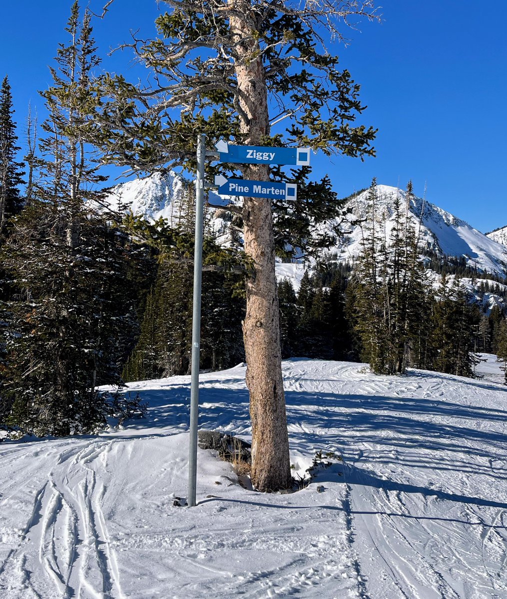 Great skiing today ⛷️ <a href="/BrightonResort/">Brighton Resort</a>