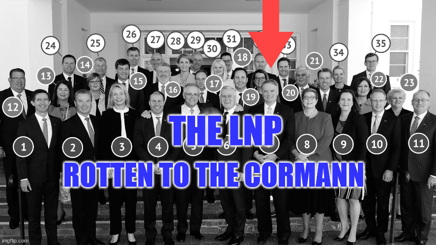 Mathias Cormann #LNPNeverAgain #LNPCorruptionParty #auspol #PwC #NACC #FederalICAC