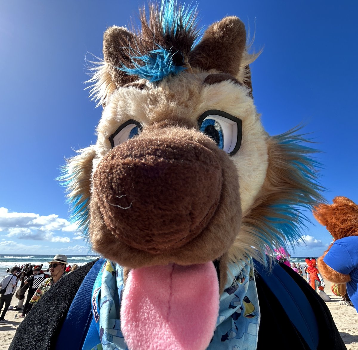 highlights from the year