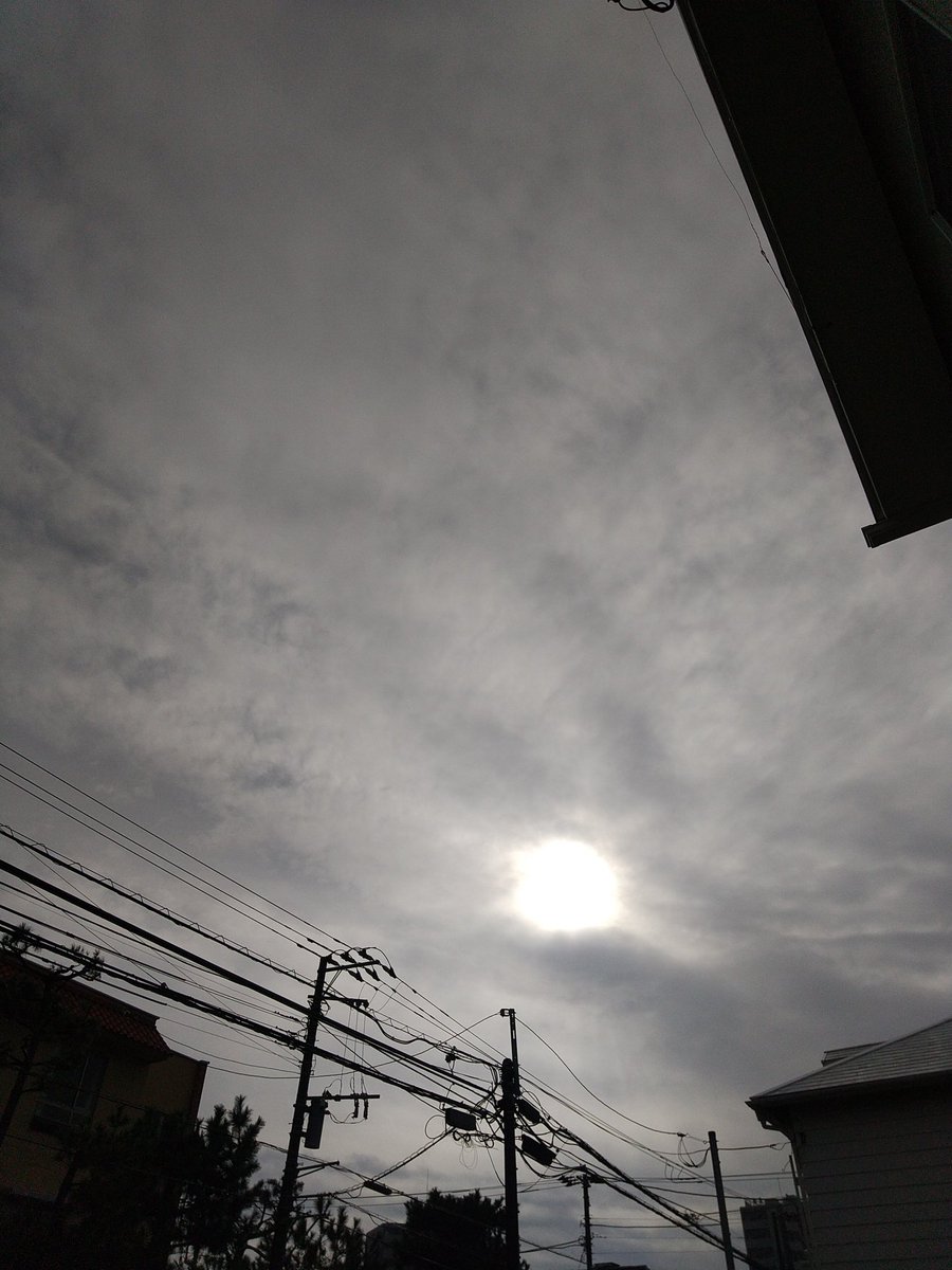 雨、上がりましたね🙄
これから波が上がる予報ですか🙄❓
泣く泣く今から海無し県の実家に帰省します😂😂

皆さま、良いお年を❗

波、上がっても最後まで楽しくサーフィンしてください😁
ご安全に👷