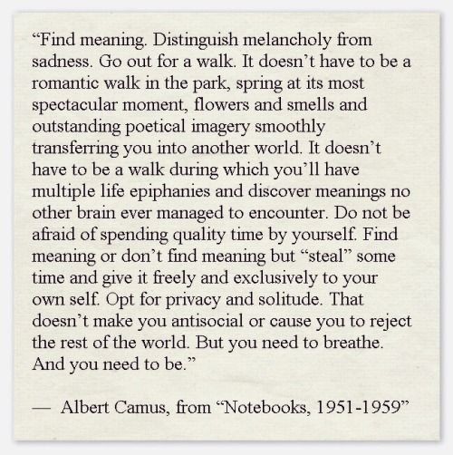 okniloo's tweet image. 