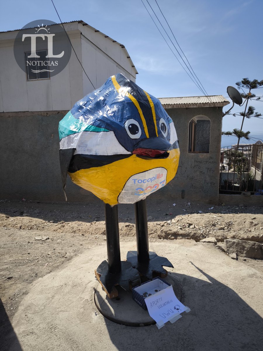 TocopillaOnline's tweet photo. Monos de fin de año en Tocopilla, parte III https://t.co/N01Hl9YSqq