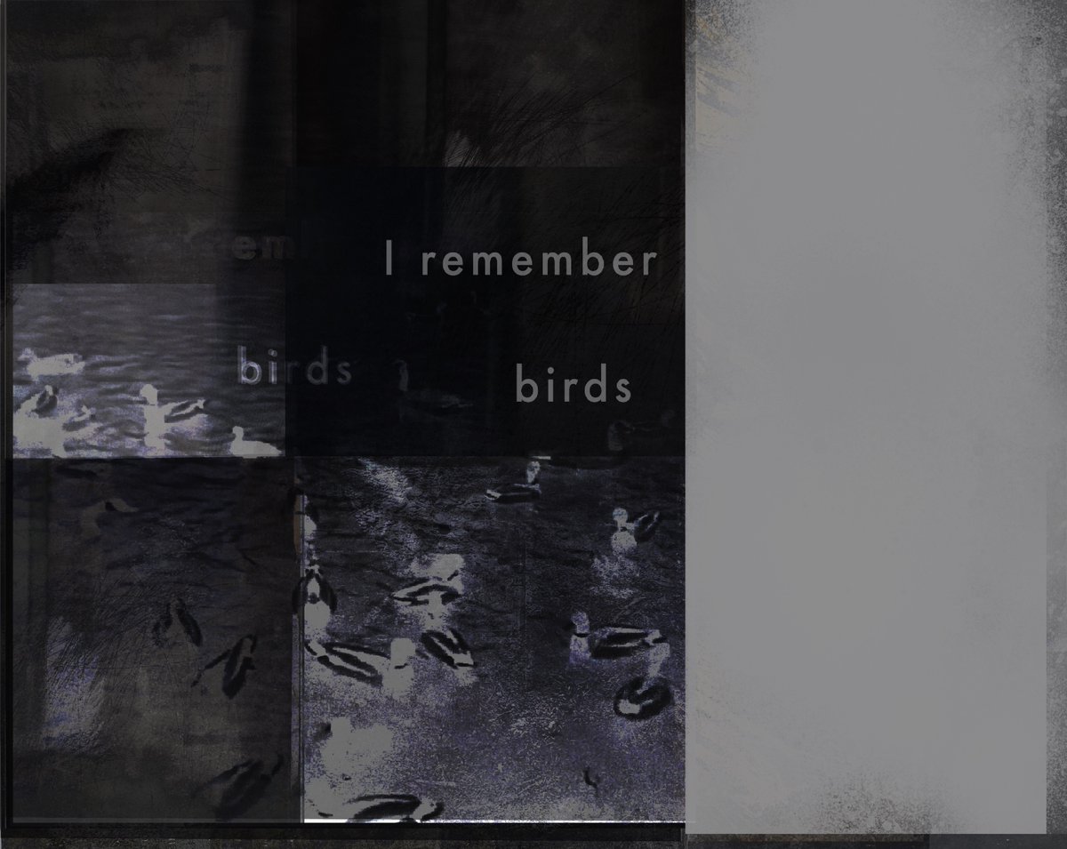 #climate #micropoetry #extinction