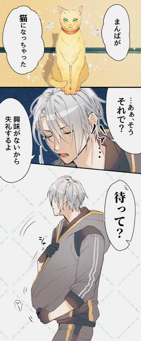 ちょぎネコくに! 