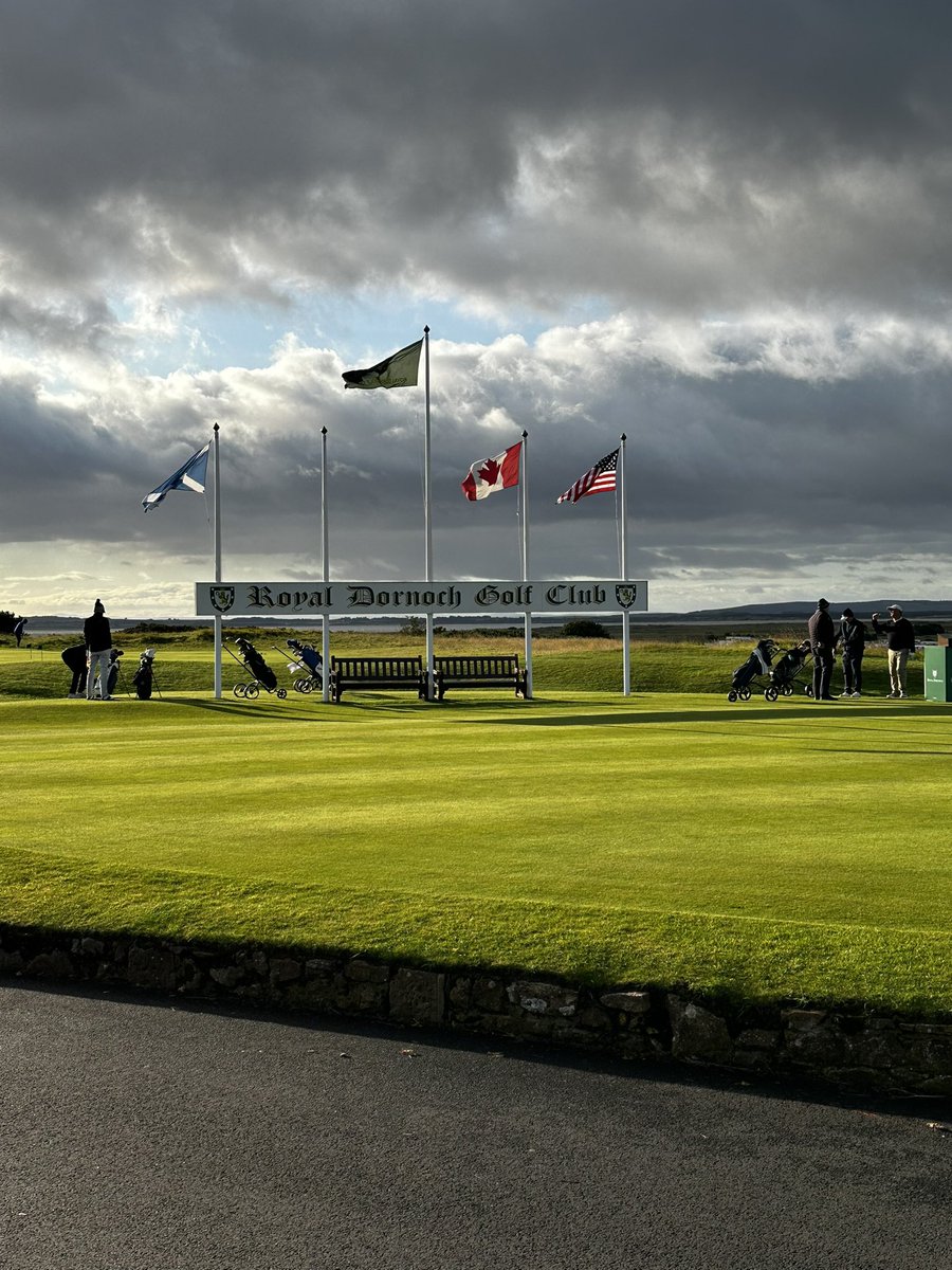 Tim Baumann tweet media