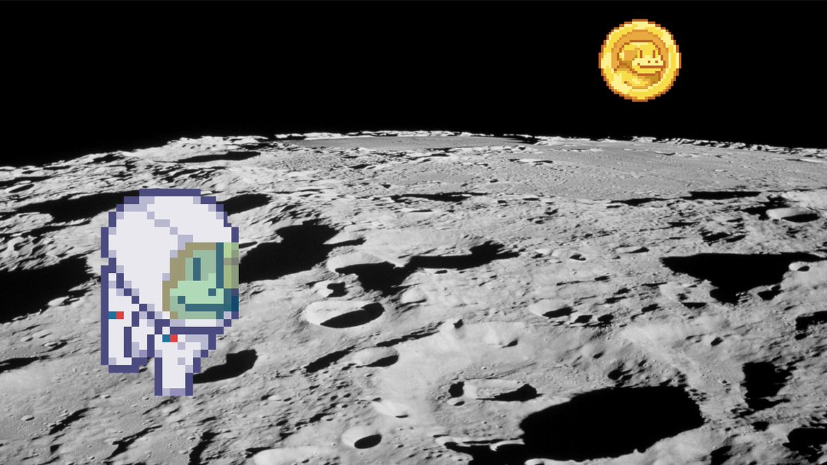 Swoltoshi tweet media