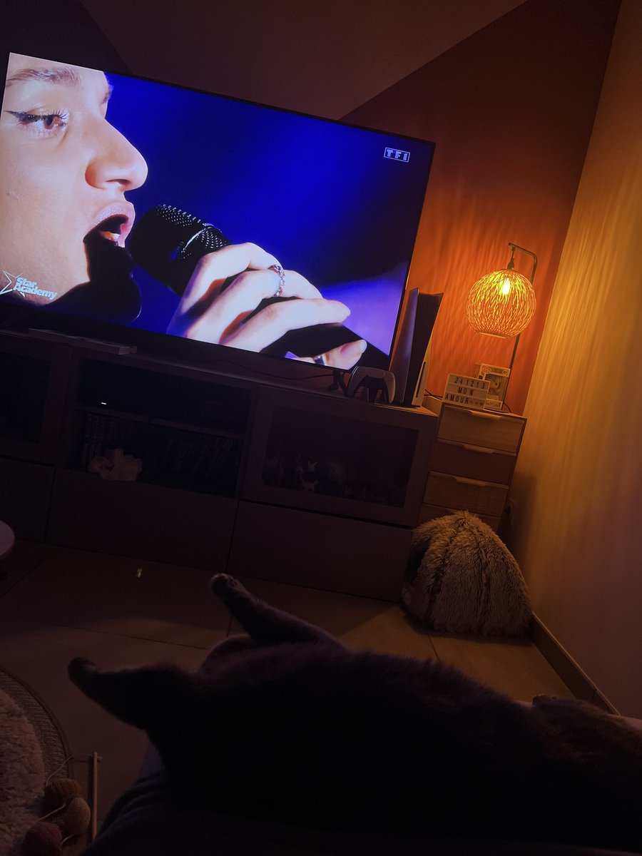 lleah_bp's tweet photo. Même les chats implorent Djebril 😌
#votez2 #StarAcademy #Djebril https://t.co/vxpsuDxDPj
