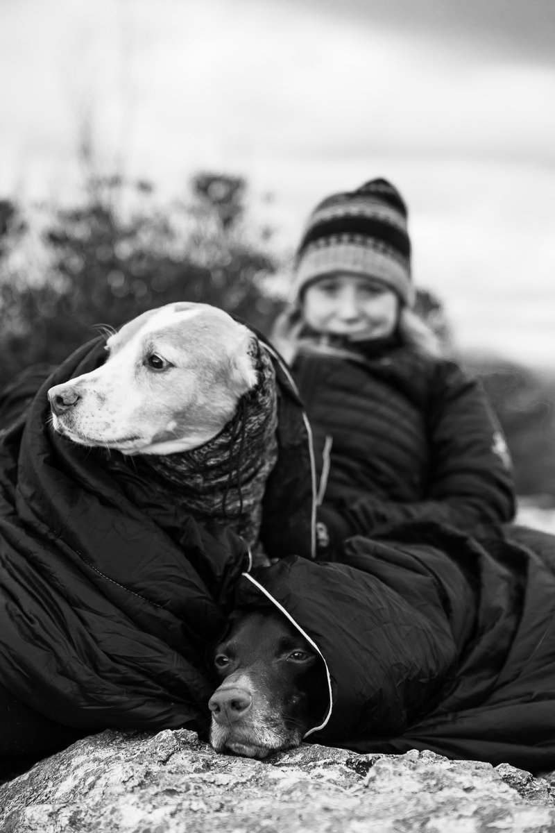 JPotterPhoto's tweet image. A chilly sunrise one last time for 2023 in the Linville Gorge!
#teamcanon l #sunrise
@ourstatemag
