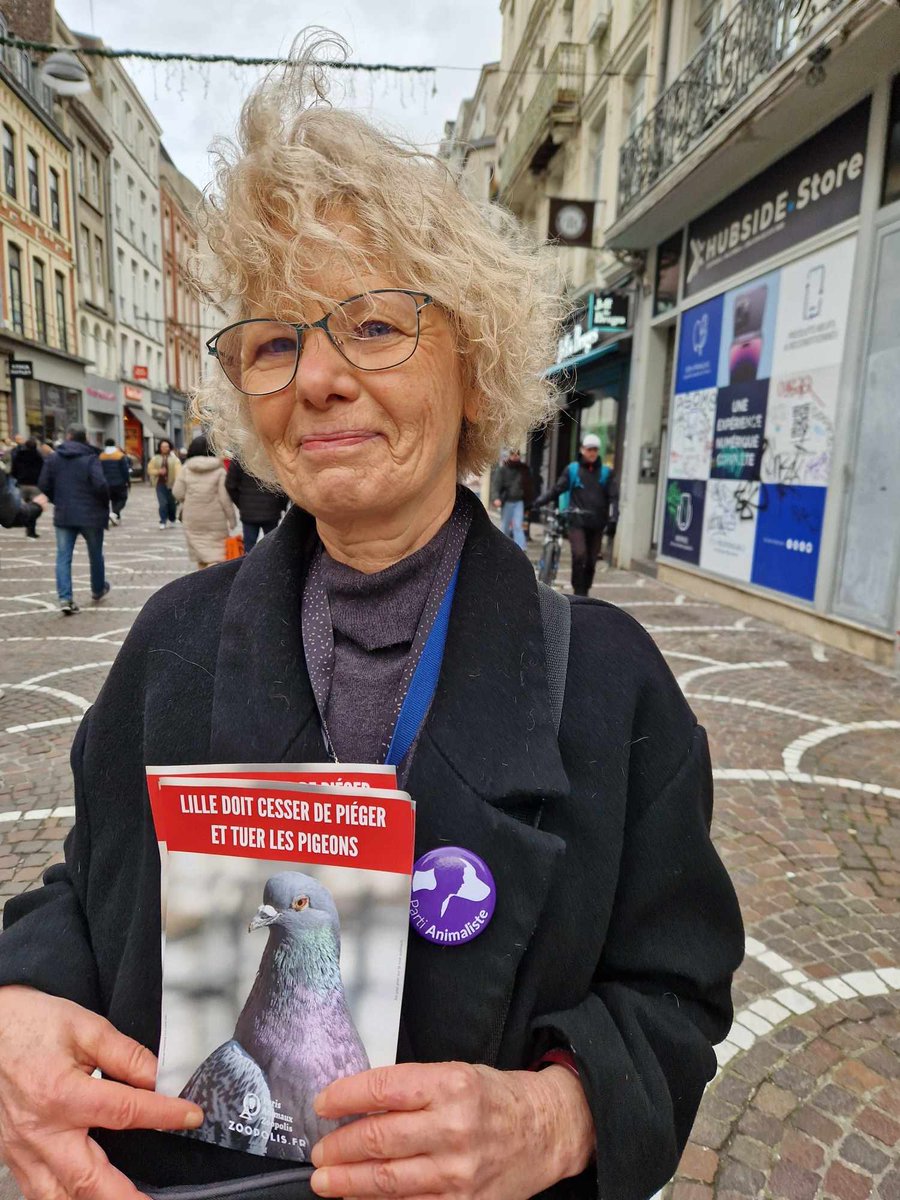 sniprie's tweet image. (soutenue par le @PartiAnimaliste) et qui dénonce le traitement infligé aux #pigeons lillois par la municipalité. En effet la méthode choisie pour réguler la population de ces #oiseaux est la capture de ceux-ci puis leur #gazage par du dioxyde de carbone (CO2) !