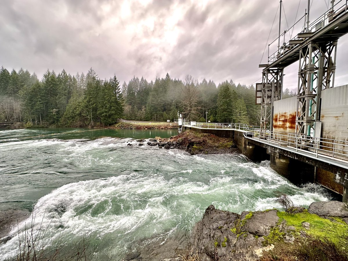 SWatson_BCH's tweet photo. May surprise some people that the highest water inflows into the Comox Lake Reservoir, since the Dec 25 #BCStorm activity started, was early this morning! Yes, some rain, though lots of snowmelt.
#ComoxValley

(#CampbellRiver watershed still receiving high inflows.) https://t.co/5fB3Ry0DWU