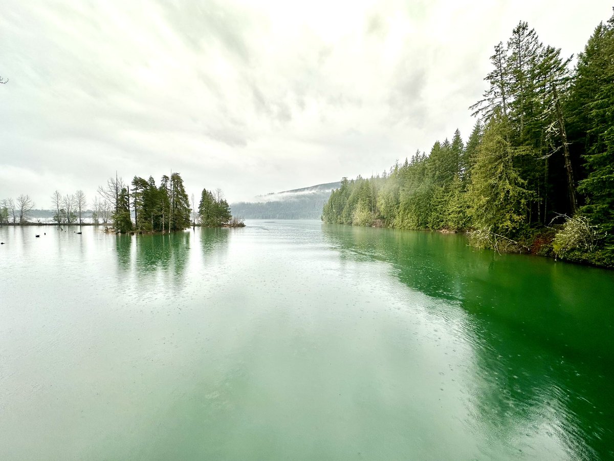 SWatson_BCH's tweet photo. May surprise some people that the highest water inflows into the Comox Lake Reservoir, since the Dec 25 #BCStorm activity started, was early this morning! Yes, some rain, though lots of snowmelt.
#ComoxValley

(#CampbellRiver watershed still receiving high inflows.) https://t.co/5fB3Ry0DWU