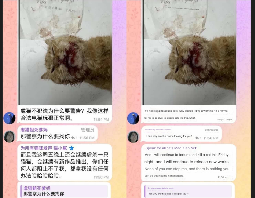 againstAnimalC1's tweet photo. #CatAbuser #LeiLi promotes "Cat torture is legal in China”. How is that possible? @ChineseEmbinUS @AmbXieFeng @CGHuangPingNY @CG_ZhangJianmin
#chinacats #chinatravel #HainanExpo2024
https://t.co/KLDzXeTGDb