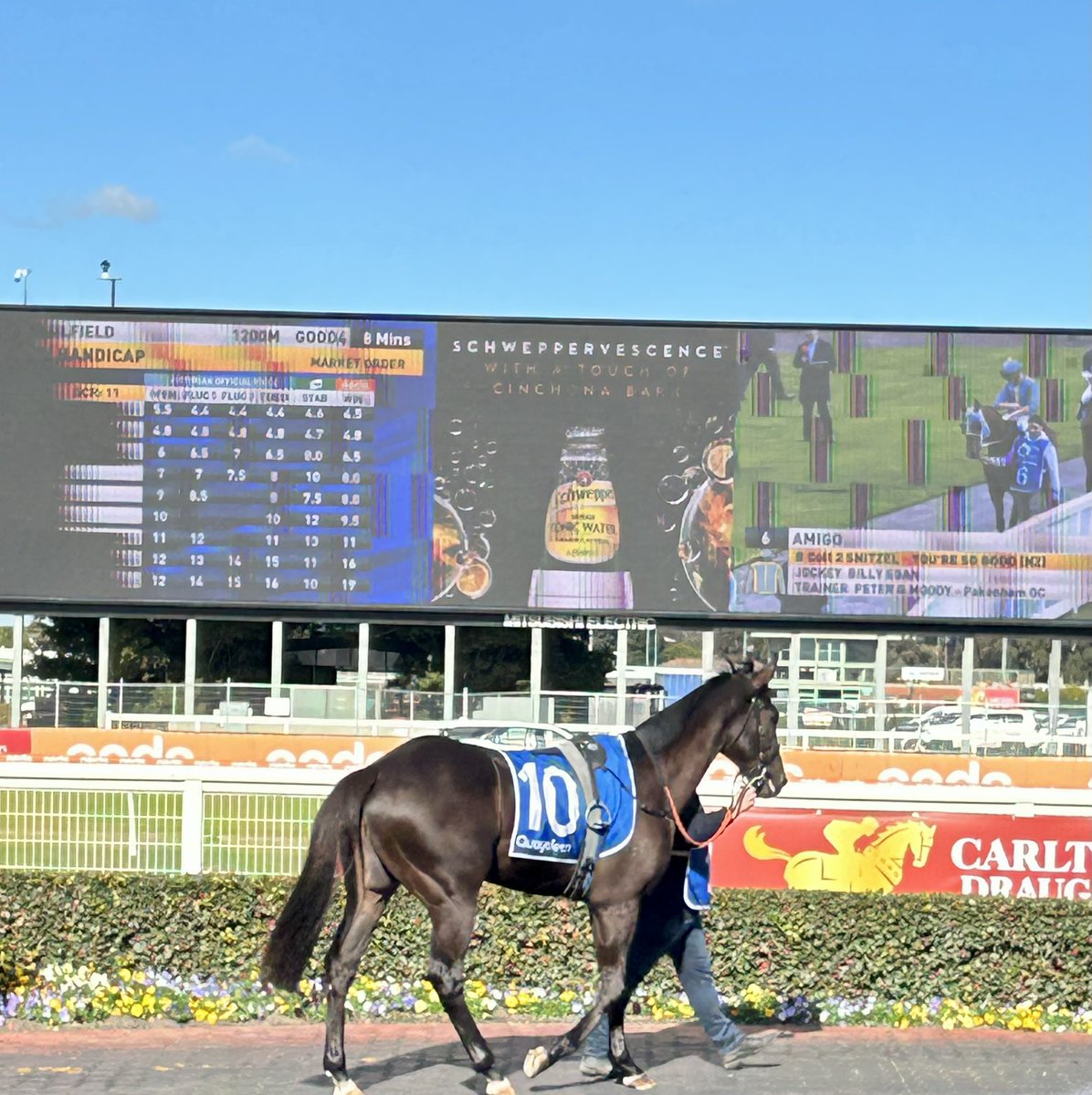 TracksideTrav's tweet image. HAPPY NYE PUNTING LEGENDS
🏇💪🏇💪🏇💪🏇💪🏇💪🏇💪
Have a great day today/tonight and let’s launch into 2024🥳