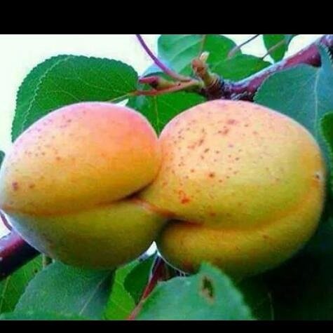 #NouvellePhotoDeProfil