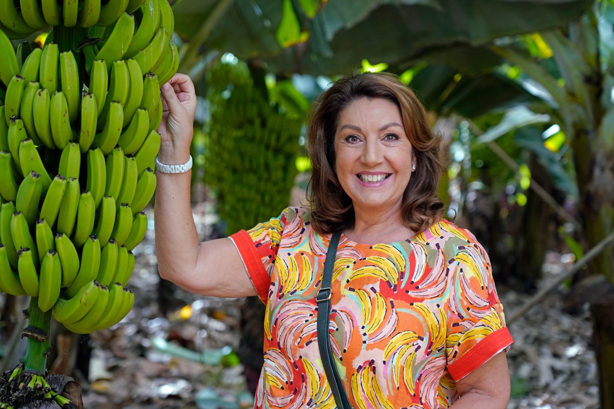 Vanessa Williams - Wedding Videographer tweet media