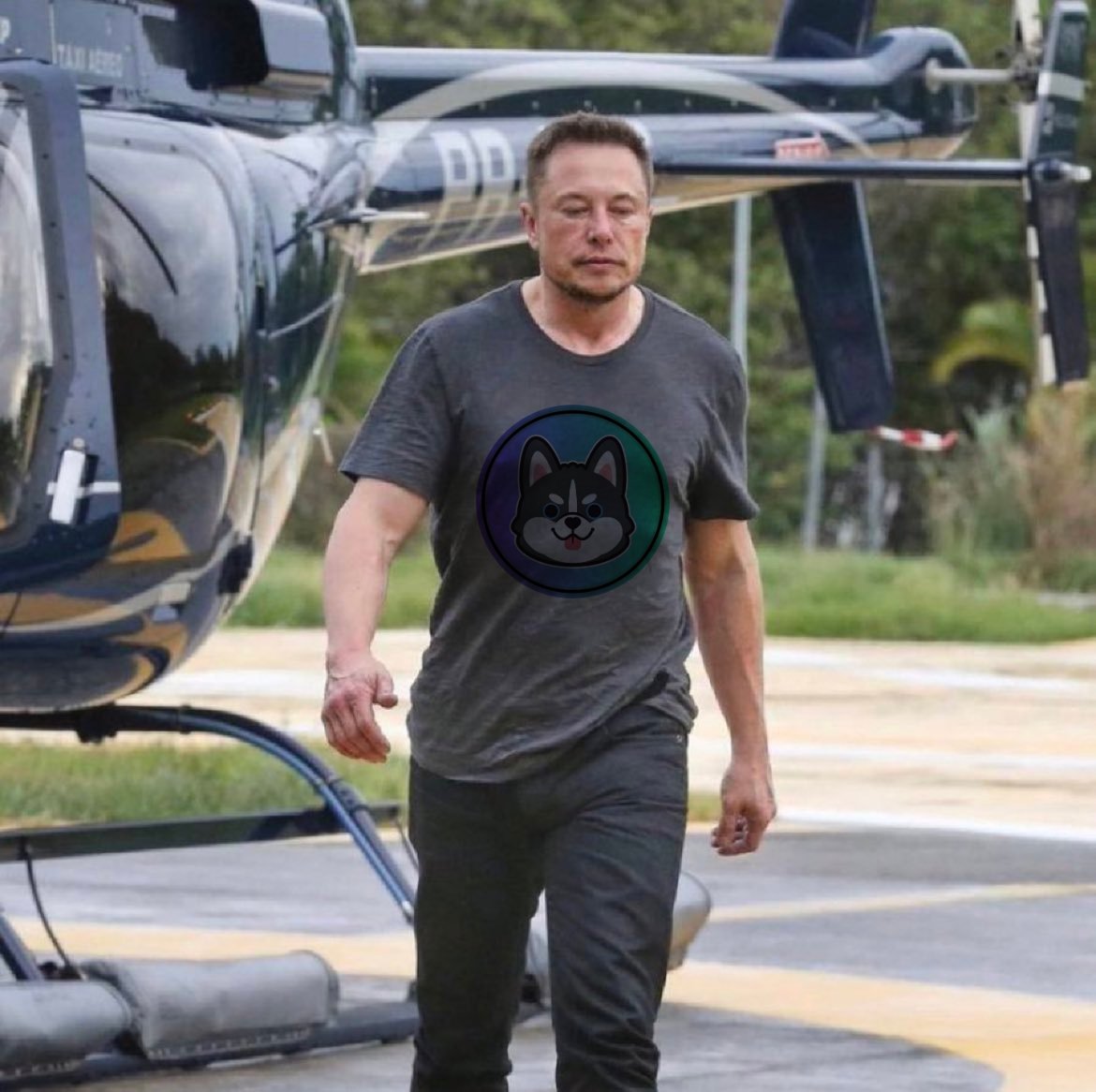 I build whatever I want 😱

💚+♻️ &amp; Drop your $SOL Wallets 👇