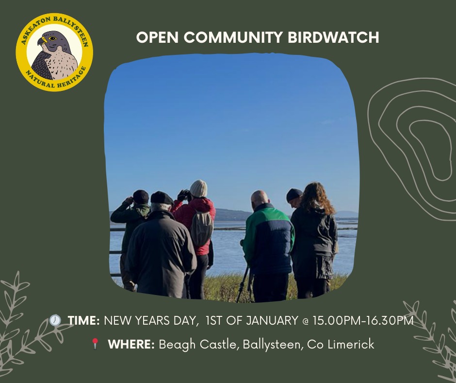 Come along to see some of the beautiful waterbirds that inhabit the Shannon Estuary and have a chat and a cup of tea with us! 
What a great way to kick off the new year!
🦆☕

<a href="/BirdWatchIE/">BirdWatch Ireland</a> <a href="/LimerickEnviron/">Limerick Environment</a> <a href="/WatersProgramme/">Local Authority Waters Programme</a> <a href="/EstuaryWay/">ShannonEstuaryWay</a>