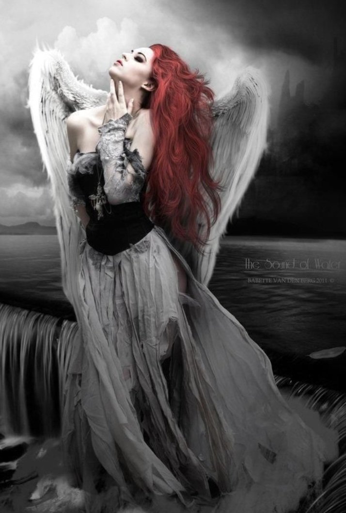 JCAM_01's tweet image. fallen angel
silken moon
flooding love
drowning me

#VssDark #Brknshards #Only8Words #CrowCalls