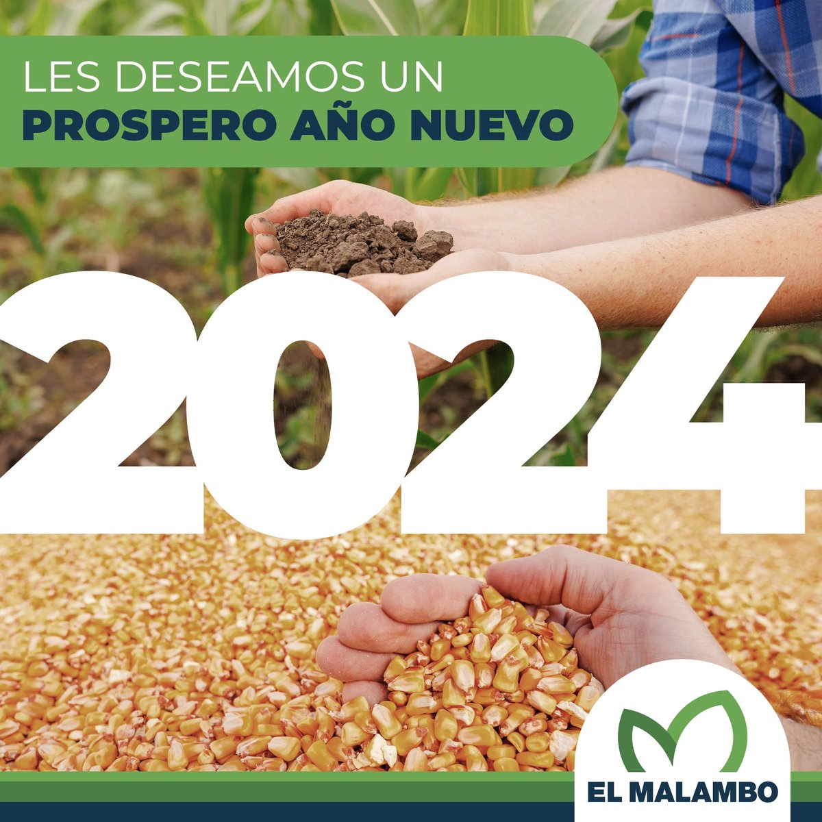 🎉 ¡Feliz Año Nuevo, Feliz 2024! 

🌃 Esperamos que todos cierren un gran año y que comiencen uno todavía mejor y lleno de felicidad.

🥂 Salud para todos! @elmalamboagro

#FelizAñoNuevo #Feliz2024 #ElMalamboAgro #GeneralVillegas