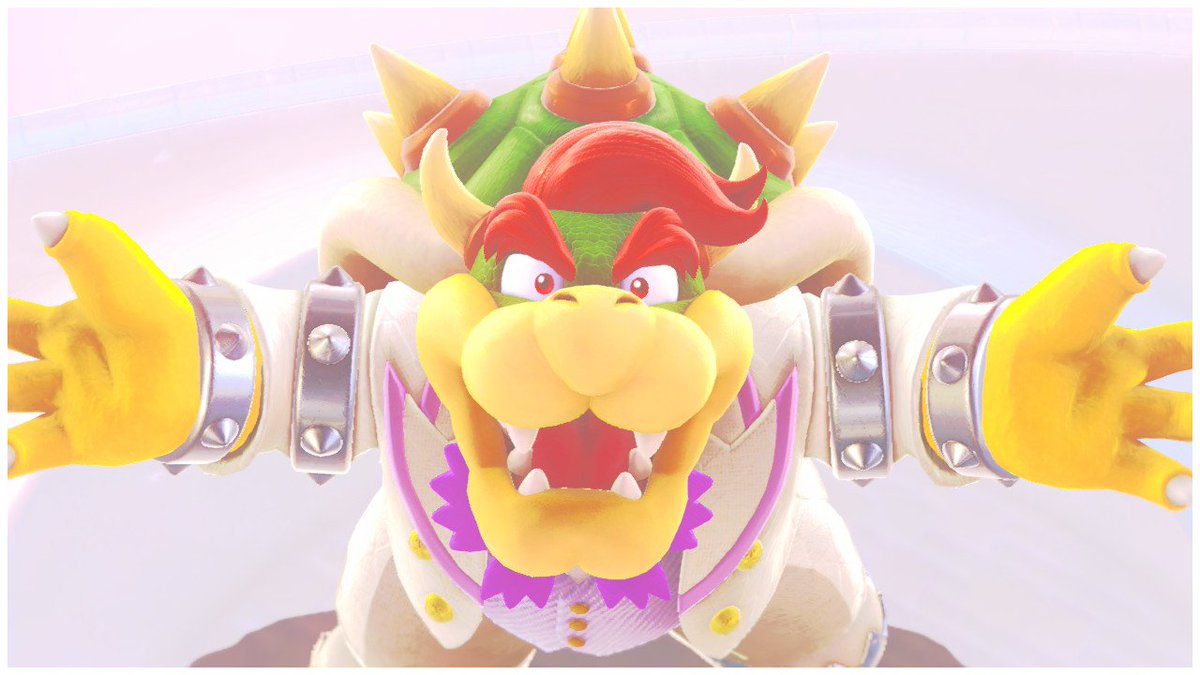 Bowser pictures to cheer you up (@Bowser_Pics) on Twitter photo 2023-12-30 22:11:54