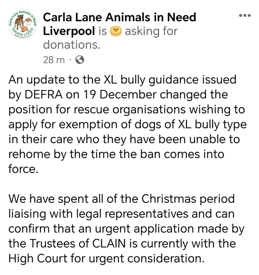 Rockys Army Fighting BSL & DDA tweet media