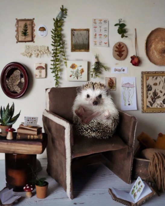 Watch clare's leaked NSFW photo on TwXstars