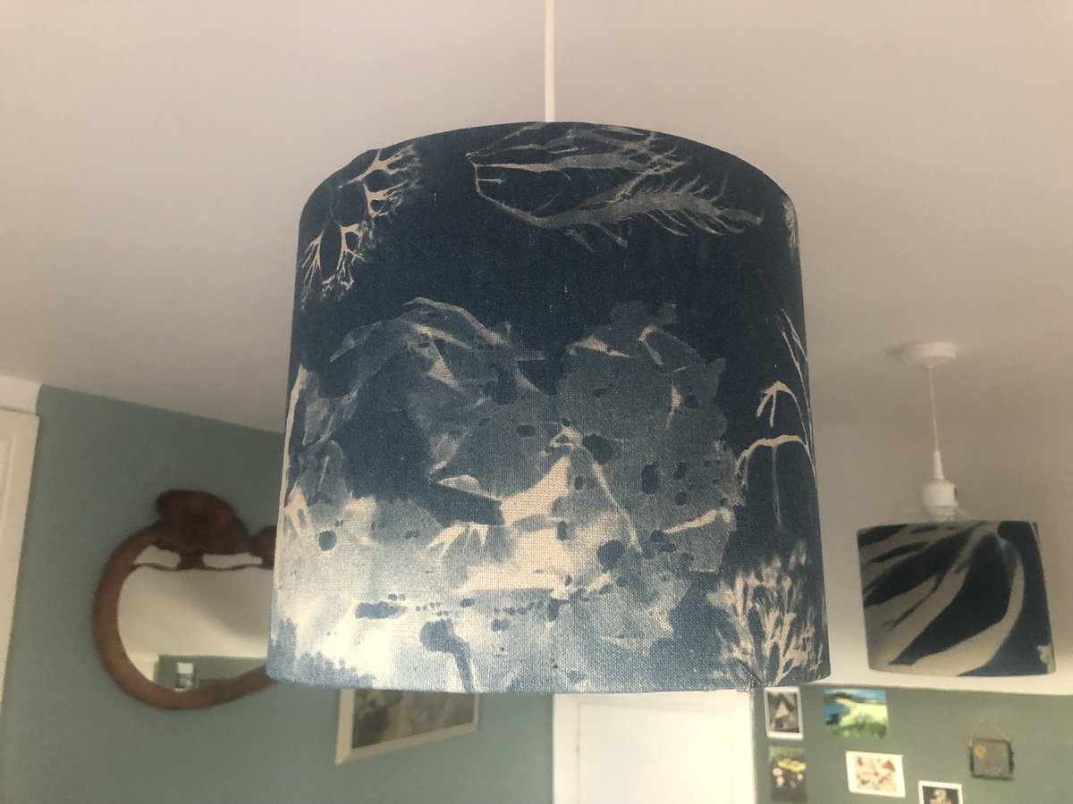 SnufkinScilly's tweet photo. @JaneyGodley Made myself a lampshade from hemp and pressed seaweed with cyanotype https://t.co/tSTZH4u7qx