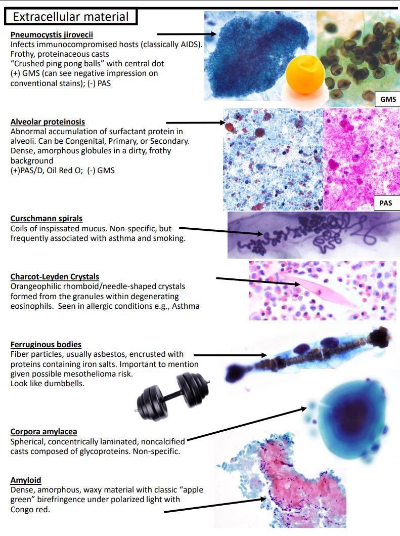 Kurt Schaberg tweet media