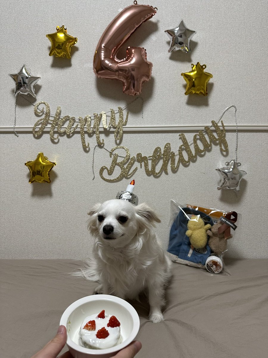 comcomcomg's tweet image. ぼくはきのう 4さいになったよ
へんなぼうし かぶって  おいしいのたべた！
あたらしいおもちゃも もらった！