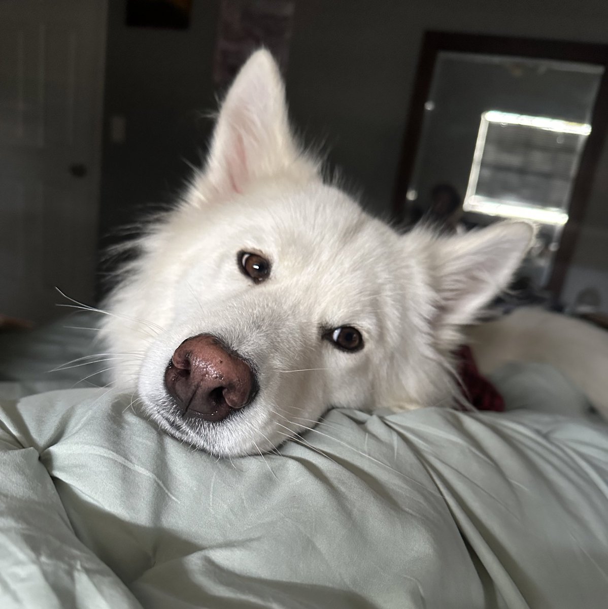 kylaxbartley's tweet photo. afternoon nap view https://t.co/4H8TJJV6fR