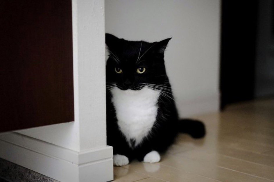 Why do people with a bigger following than me just follow me randomly, i haven't posted anything relevant in months what the fuck