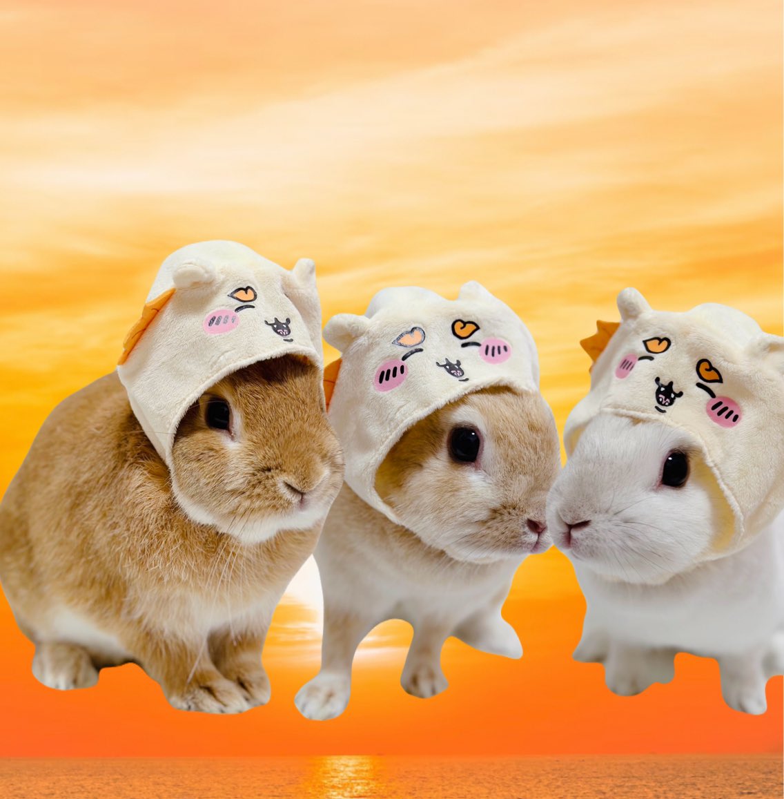 おはぴょん🍀✨
2023年今年もお世話になりました！
2024年みんな良い年になりますように💖✨✨✨😊💕
モカくん🐰🥕ラテちゃん🐰☕️
いちごちゃん🐰🍓