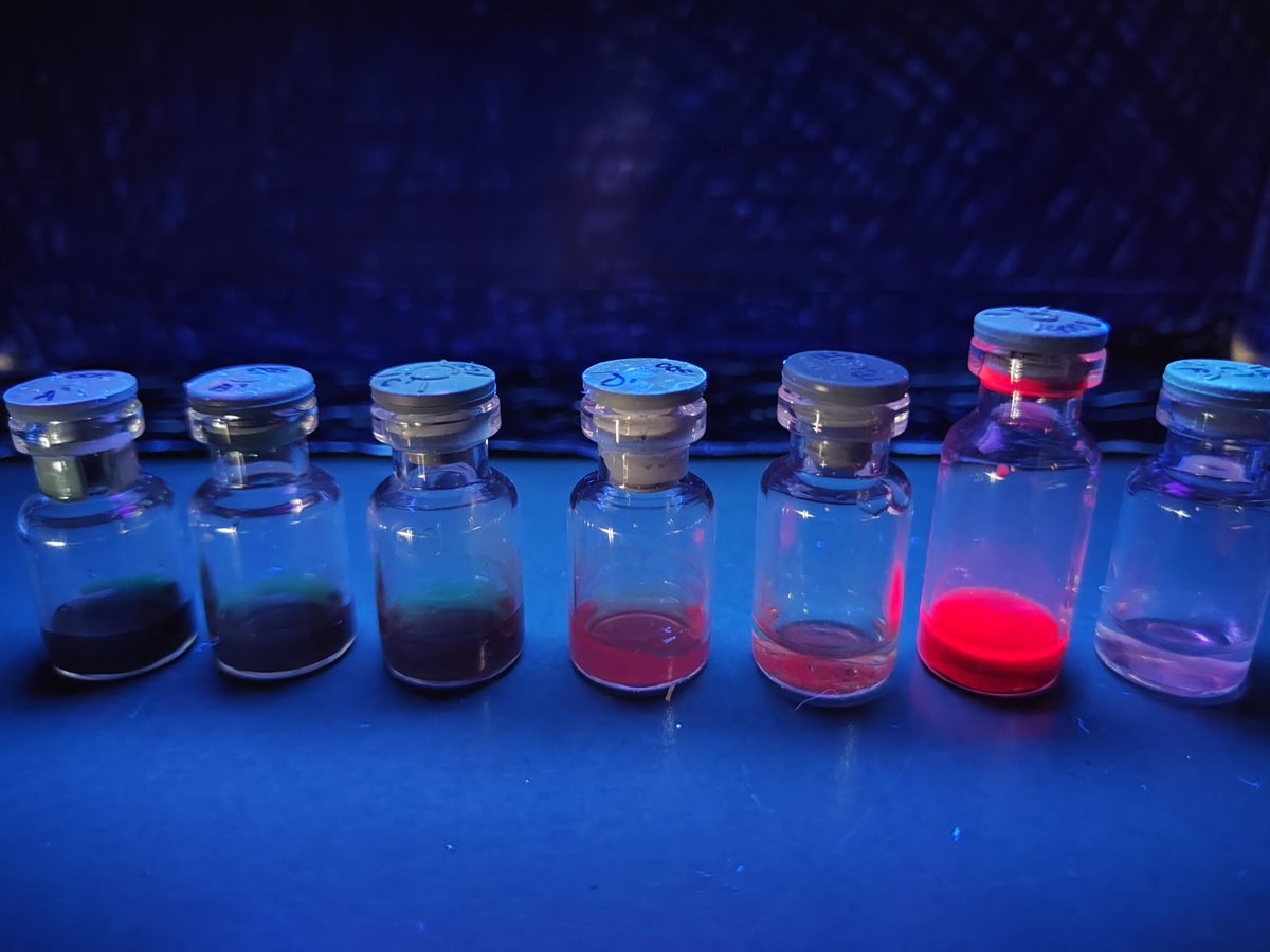 I think I already posted this, but I really like these #fluorescent #corrole #nanoparticles. The bright red solution is the reference in THF. The first five vials have decreasing concentrations of corrole. #realtimechem #chemtwitter #science