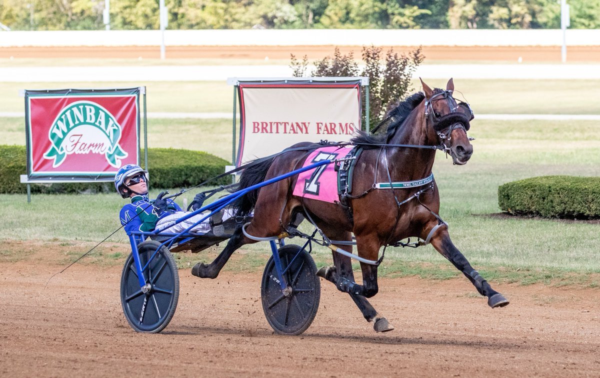 DRF Harness tweet media