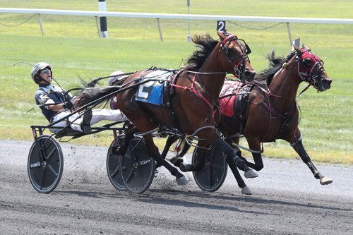 DRFHarness's tweet photo. Dan Patch Award winner for 3YO filly pacers

SYLVIA HANOVER

Breeder:  @Hanovershoefarm 
Owner: Hudson Standrdbrd Stb Inc.
Trainers: @s_steacy / Mark Steacy
Driver: @BobMcClure2 

photo by @Ragingmike https://t.co/pvOfaDQCWD