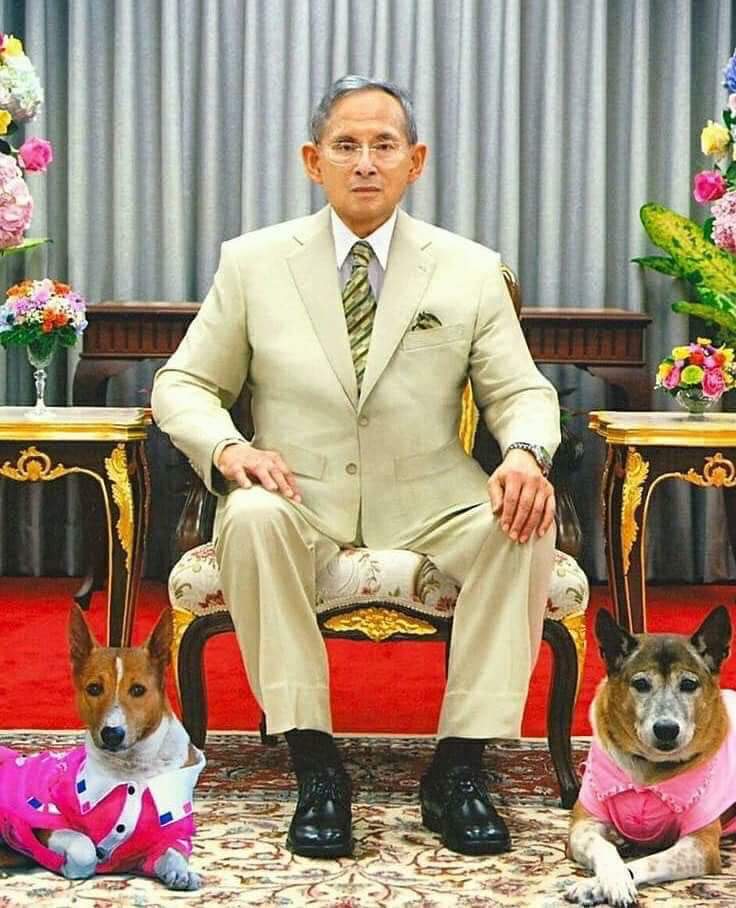 rat_bamrung's tweet photo. #นั่งนับวันที่พ่อจาก
วันที่ ๒๙ ธันวาคม ปีพุทธศักราช ๒๕๖๖ 

#นับได้๒๖๓๑วันนับแต่วันสวรรคต

#พรปีใหม่

"...ในปีใหม่นี้ ขอให้ท่านทั้งหลายรักษาสุขภาพกาย สุขภาพจิต ให้สมบูรณ์แข็งแรง เพื่อให้สามารถปฏิบัติหน้าที่ได้เต็มกำลัง ข้อสำคัญจะคิดจะทำสิ่งใด ให้นึกถึงส่วนรวม และความเป็นไท���ไว้เสมอ https://t.co/FLTlbWPX5I