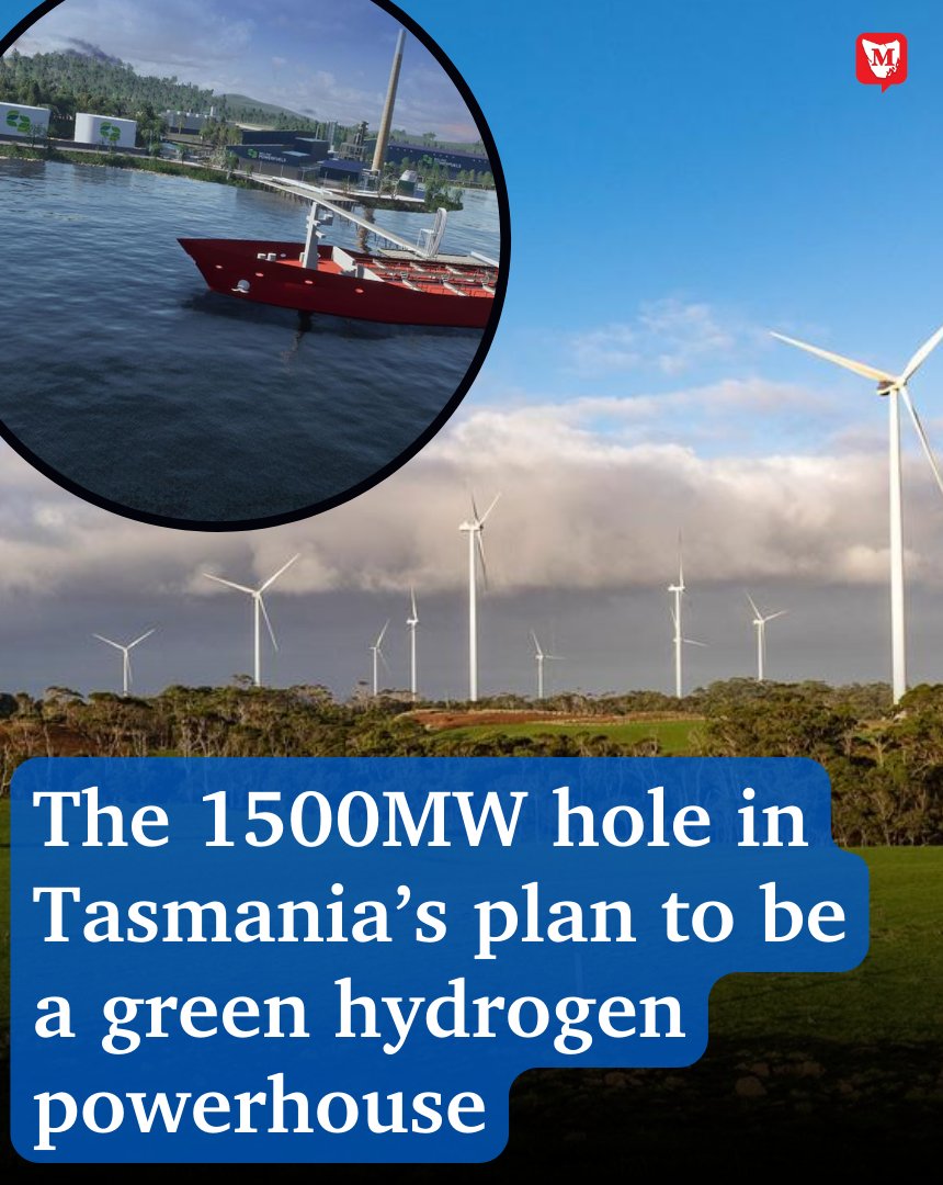 Alex Treacy tweet media