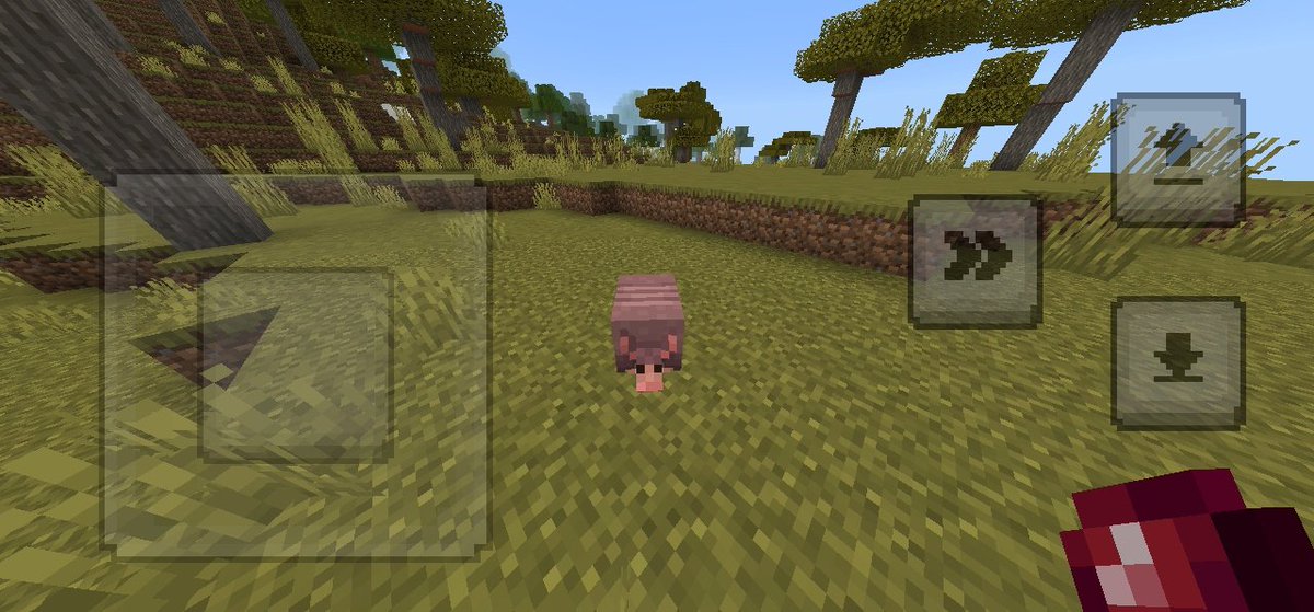 phil_rodrigo's tweet photo. @phil_rodrigo el armadillo es tierno en Minecraft 🥺🥺 https://t.co/nusvn2pNJ7