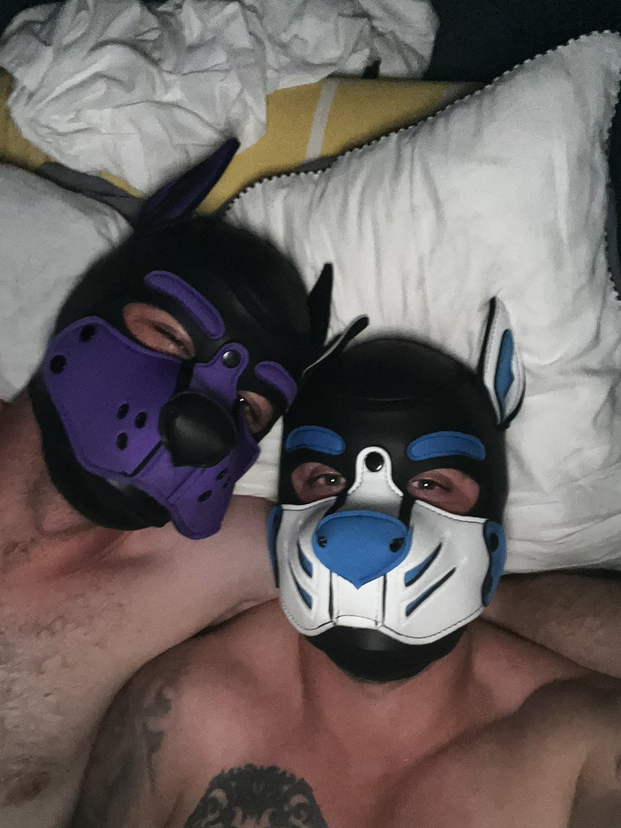 Busterthepupnz's tweet photo. Had a great time puppin out with the adorably good boy @sinthepup #puptime #pupwrestle #goodboys #gaypups https://t.co/cgqe49wGiD