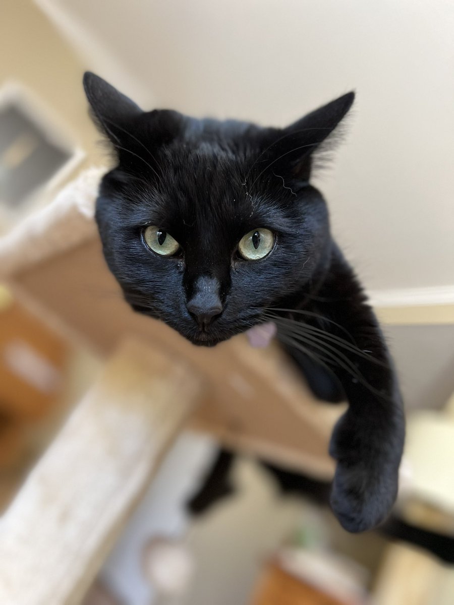 laura_studarus tweet media