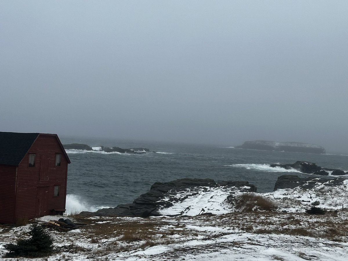MissLydia1977's tweet photo. Out in elliston for the night https://t.co/jgs7bCUfOw